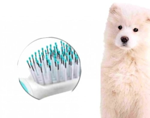 فرشاة ثنائية الخامة للجراء xs