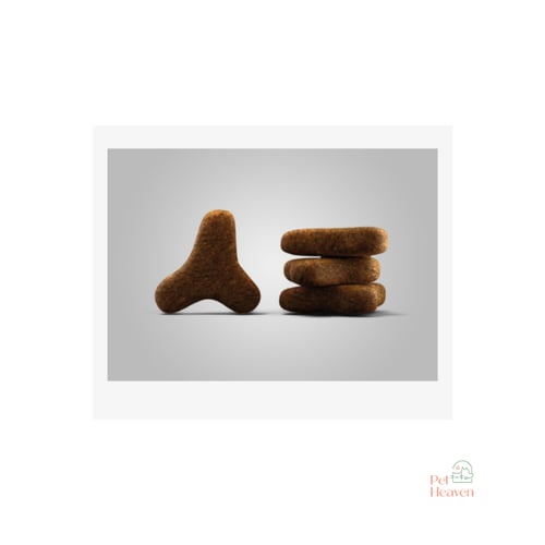 جوسيرا ناتشورال مع السالمون والعدس للقطط المعقمة