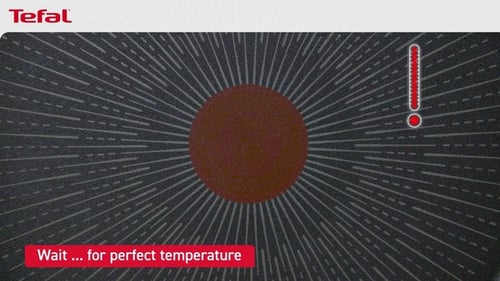 قدر تيفال تيمبو فلامي 20 سم