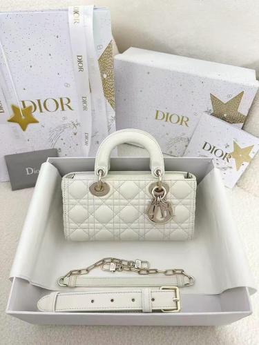 Dior 22cm