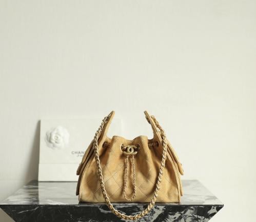 Chanel mini