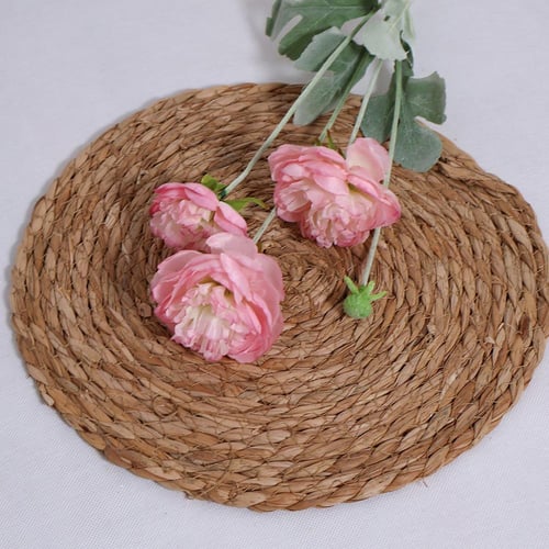 غصن بيوني وردي