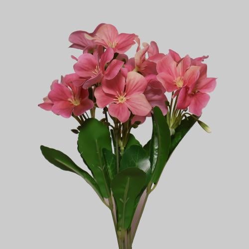 بنش هيدرنجا وردي