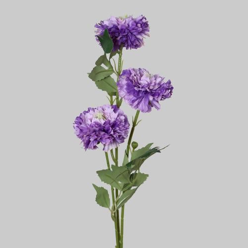 غصن البومبون موف