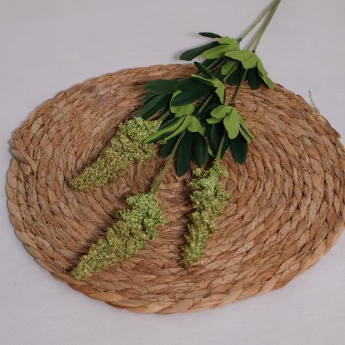 غصن لافندر زيتي