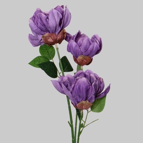 غصن الفاوانيا موف