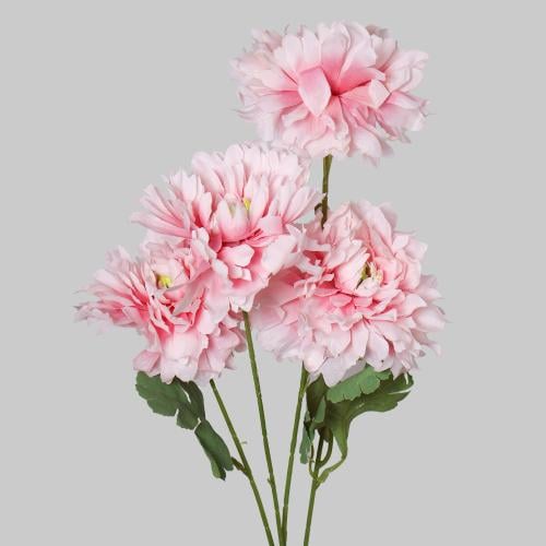 غصن الفاوانيا وردي