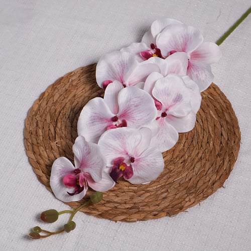 اوركيد ابيض مع وردي