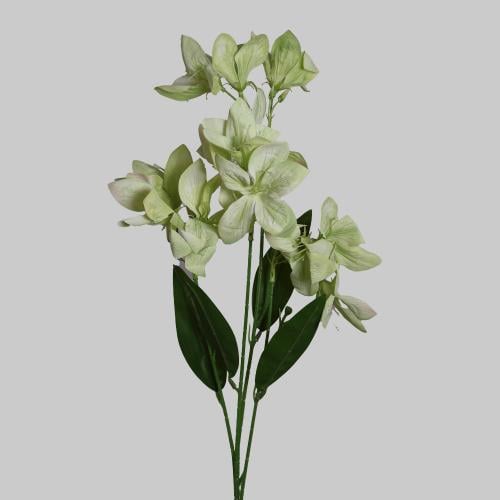 غصن الستروميريا اخضر