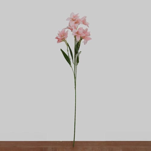 غصن الستروميريا اخضر