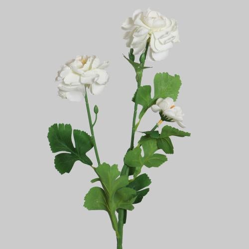 غصن الفاوانيا ابيض