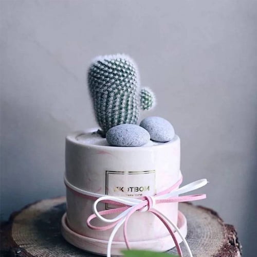 رول ربل وردي ثلجي(50متر)