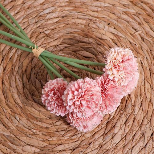 ورد هندباء وردي