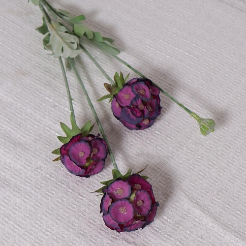 غصن زهور دائرية موف