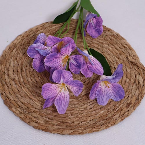 زهور الألستروميريا ازرق