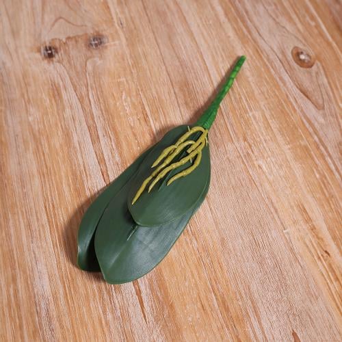 خضار الاوركيد 25 سم