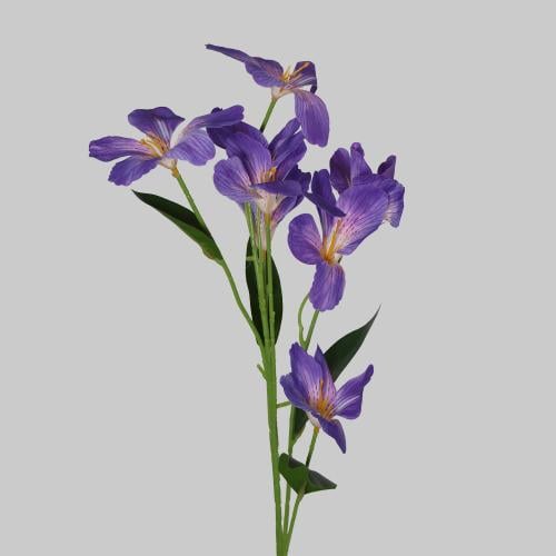 زهور الألستروميريا ليلكي