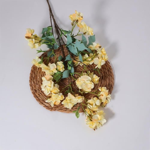 شيري بلوسم اصفر