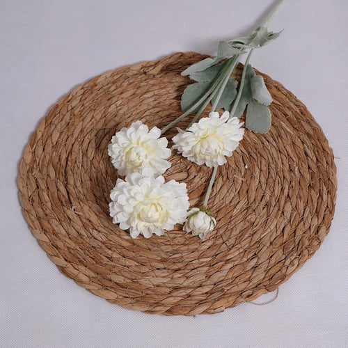 غصن قرنفل ابيض