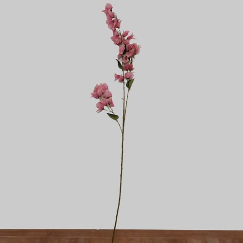 غصن الربيع ابيض