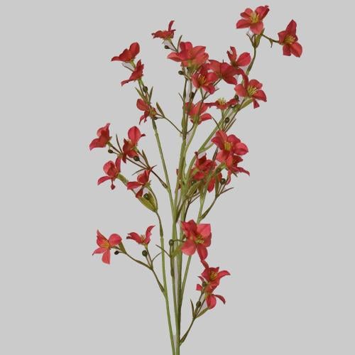 غصن زهور احمر مرجاني