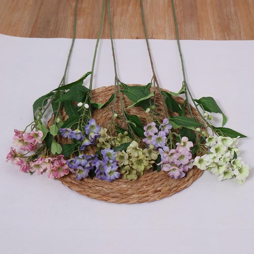 غصن بنتاس وردي