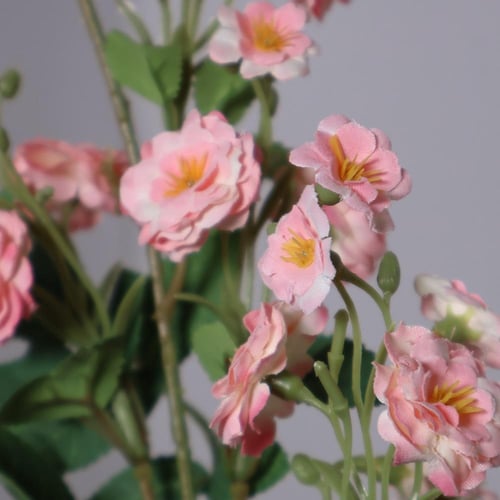 غصن بزهور اخضر