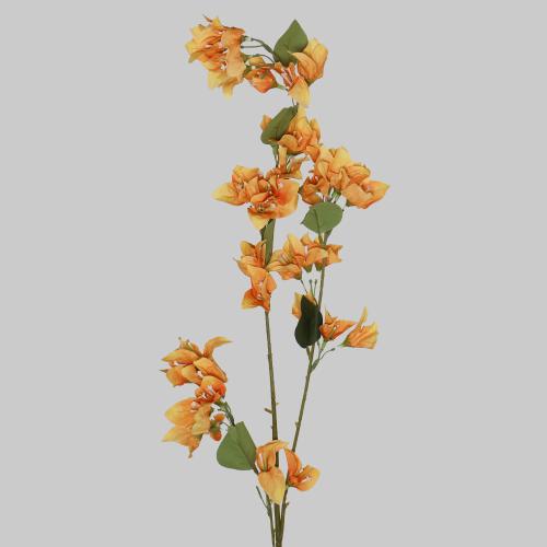 غصن الربيع اصفر