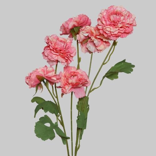 غصن الفاوانيا وردي