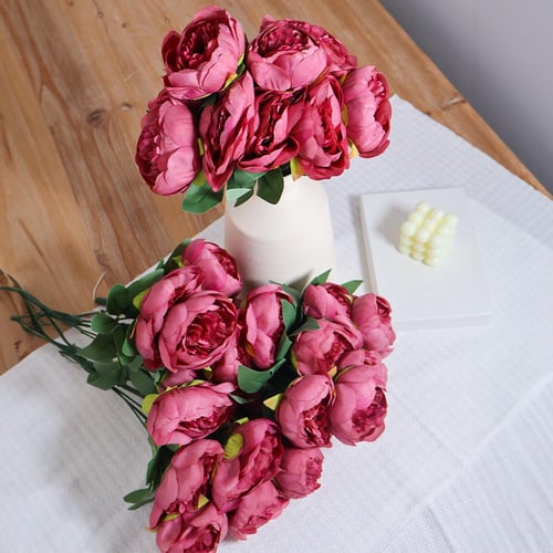 بنش بيوني موف فاتح