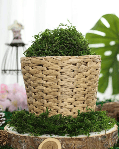 عشب مجفف كيس صغير 200g