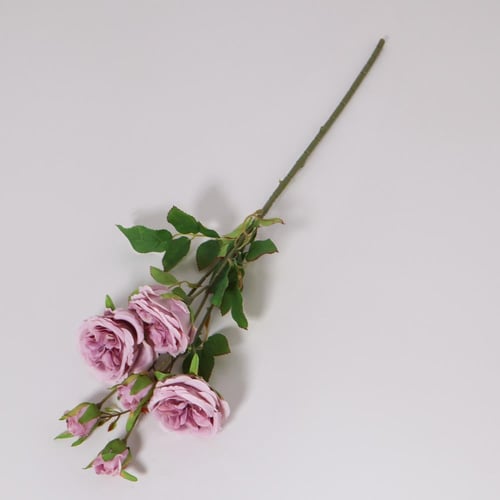 غصن بيوني موف