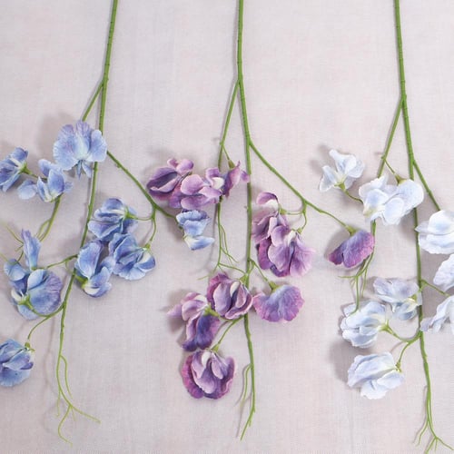 غصن بترفلاي ازرق