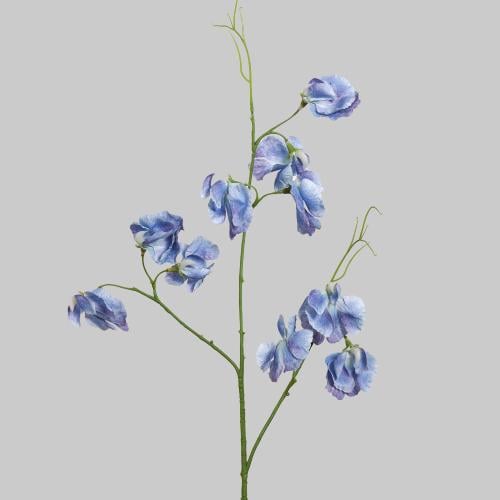 غصن بترفلاي ازرق