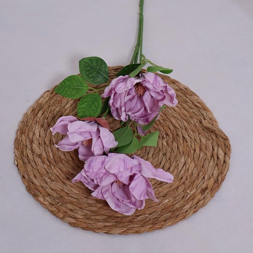 غصن الفاوانيا لافندر