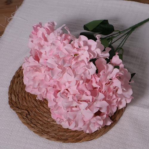 ورد الهيدرنجا وردي فاتح