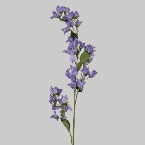 غصن الربيع موف