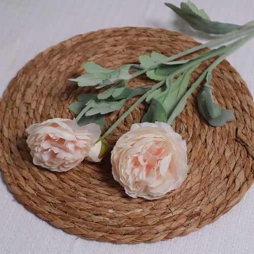 غصن ورد وردي فاتح