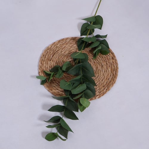 غصن خضار ثلجي