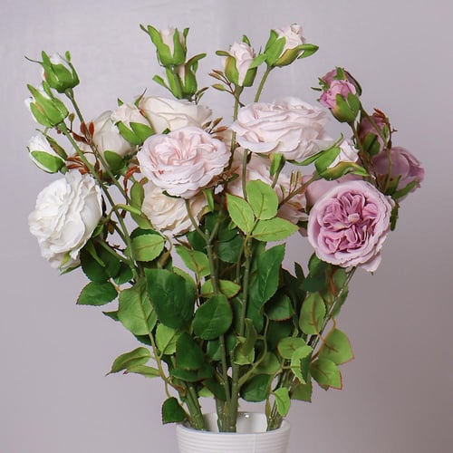 غصن بيوني وردي