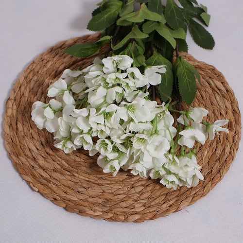 زهور الكرز ابيض