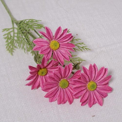 غصن ديزي وردي