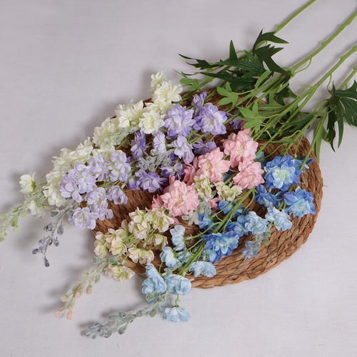 الدلفينيوم ازرق شبه الطبيعي