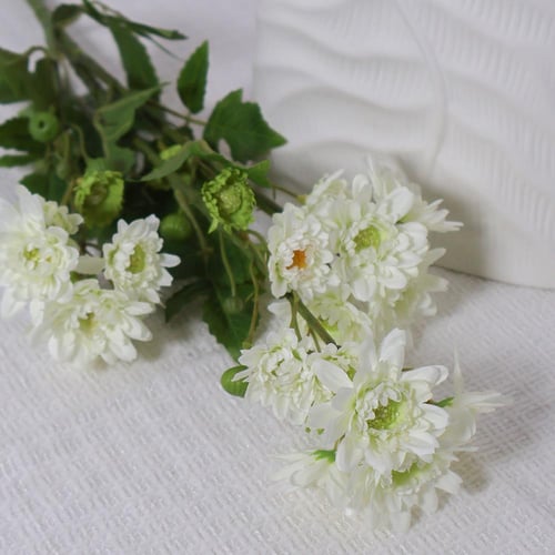 غصن الكريز سكري