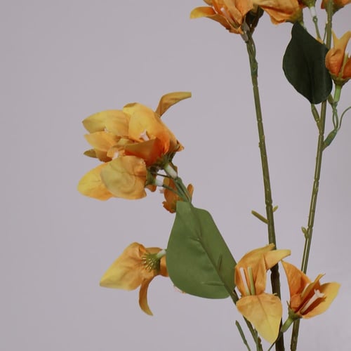 غصن الربيع اصفر