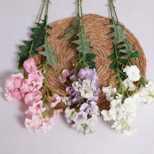 غصن جلاديواس ابيض