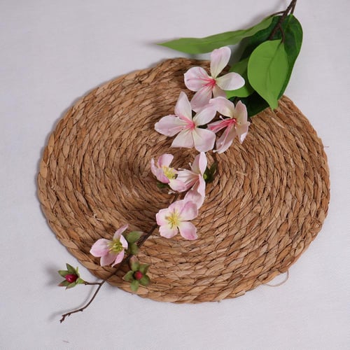 اليستروميريا وردي فاتح