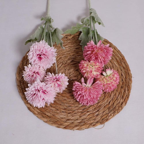 غصن الهندباء وردي فاتح