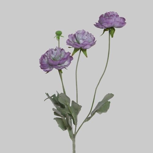 غصن بيوني موف