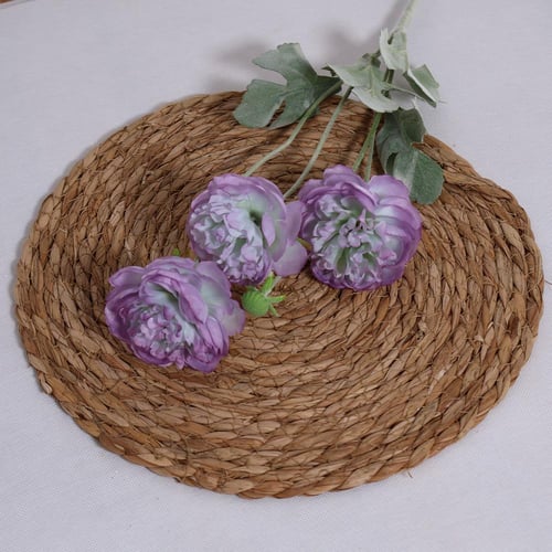 غصن بيوني موف